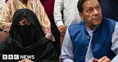 Imran Khan: Pakistan ex-PM and wife Bushra Bibi jailed for illegal marriage