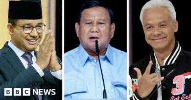 Indonesia election: Who are the presidential candidates?