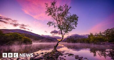 International Garden Photographer of the Year competition 2024