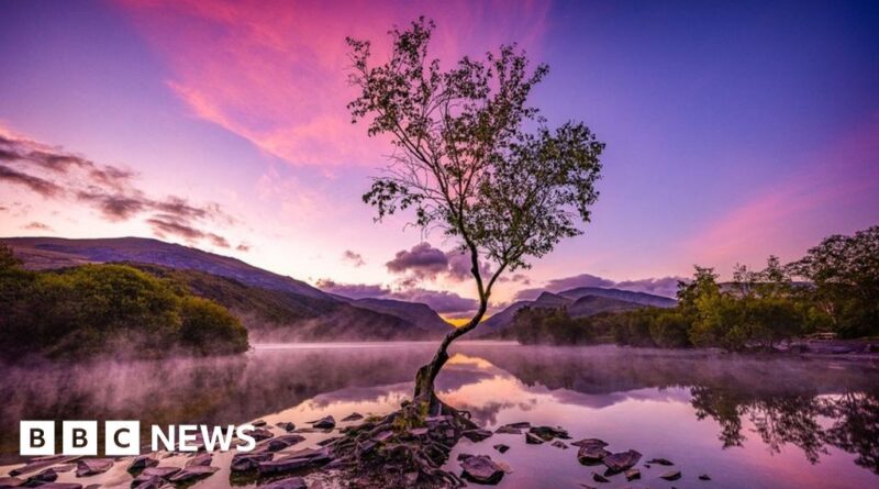 International Garden Photographer of the Year competition 2024