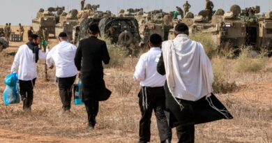 Israel defense minister says ultra-Orthodox should serve