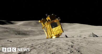 Japan Moon lander survives lunar night