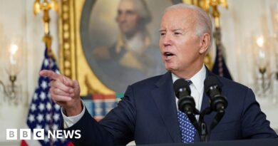 Joe Biden: A political hand grenade disguised as a report