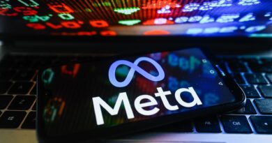 Meta's stock could rise 50% in 2 years, pro says, as shares soar in premarket trade