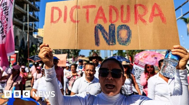 Mexico protesters in mass rally against electoral changes