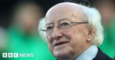 Michael D Higgins: Irish President taken to hospital