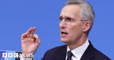 Nato says record number of allies hit defence target