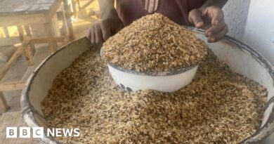 Nigeria cost of living: People turn to 'throw-away' rice for food