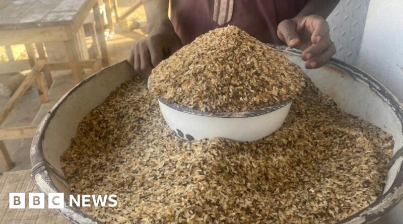 Nigeria cost of living: People turn to 'throw-away' rice for food