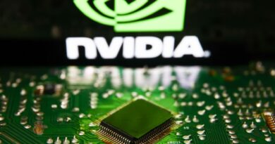 Nvidia chases $30 billion custom chip market with new unit: Reuters