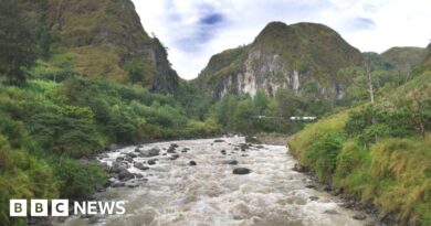 Papua New Guinea ambush: More than 50 shot dead in Highlands region