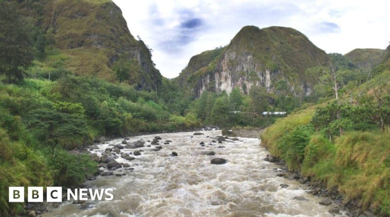 Papua New Guinea ambush: More than 50 shot dead in Highlands region