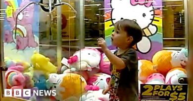 Police rescue toddler stuck inside claw machine