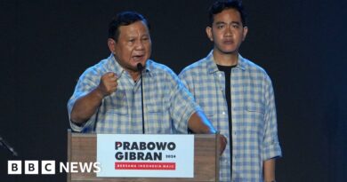 Prabowo Subianto: What can Indonesia expect from its new strongman leader?