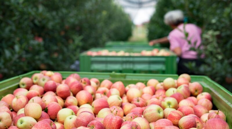 ProducePay raises $38M to tackle produce supply chain waste | TechCrunch