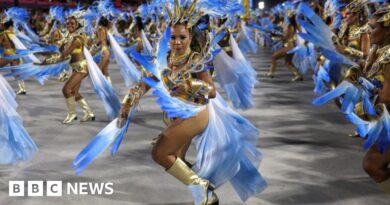 Rio de Janeiro: Dengue spike prompts health emergency ahead of Carnival