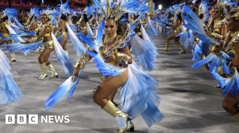 Rio de Janeiro: Dengue spike prompts health emergency ahead of Carnival