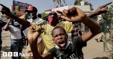 Senegal: Clashes spread over election postponement