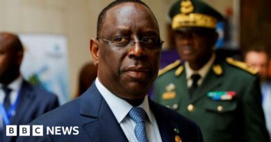 Senegal election: President Macky Sall vows poll 'as soon as possible'