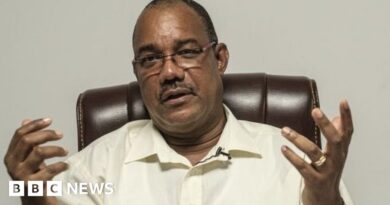 Seychelles drops witchcraft charges against opposition's Patrick Herminie