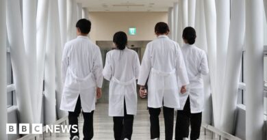 South Korean woman dies as doctors strike continues