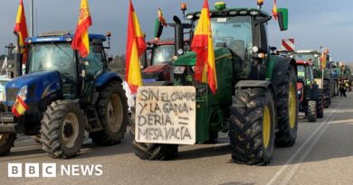 Spanish farmers join wave of protests