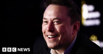 Tesla: Elon Musk moves to shift firm's legal home to Texas