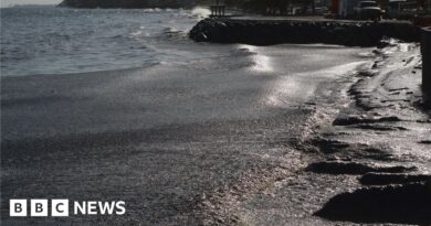 Trinidad and Tobago hit by mystery ship oil spill