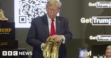 Trump launches own-brand shoes after $355m fine