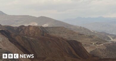 Turkey gold mine: Nine workers missing after landslide