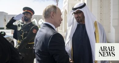 UAE president has phone call with Vladimir Putin