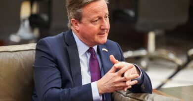 UK's Cameron urges calm on Lebanon-Israel border in Beirut talks