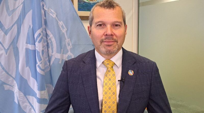 UN's IMO working 'tirelessly' to solve Red Cea crisis: head