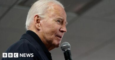 US elections: Biden set to win South Carolina Democratic primary