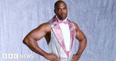 US wrestling star Michael 'Virgil' Jones dies aged 61