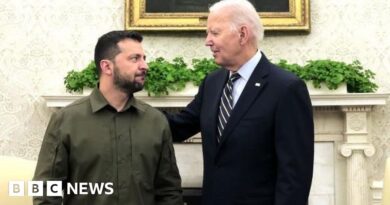 Ukraine war: Biden 'confident' Republicans will vote for $60bn aid package