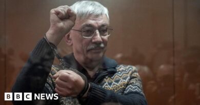 Ukraine war: Russian human rights campaigner Oleg Orlov sentenced to jail