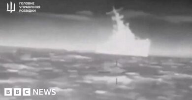 Ukraine 'hits Russian missile boat Ivanovets in Black Sea'