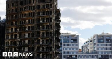 Valencia fire: Nine bodies found as Spanish police search gutted flats