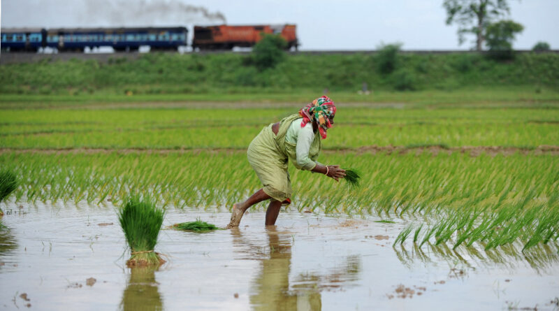 Varaha helps Indian farmers reduce climate-harming practices like burning crop residue and flooding rice fields | TechCrunch