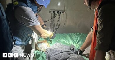 WHO fears for remaining patients at Gaza's Nasser hospital