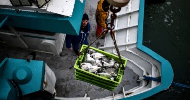 WTO braces for battles on fisheries, agriculture in UAE talks