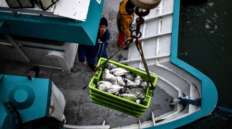 WTO braces for battles on fisheries, agriculture in UAE talks