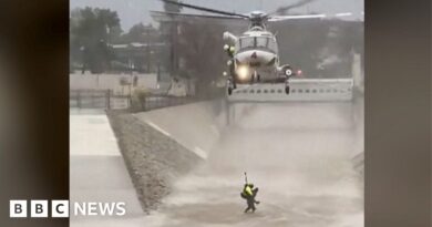 Watch: Helicopter crew rescues man from surging LA river