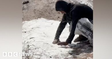 Watch: Man gathers spilled flour off ground as Gaza food crisis grows