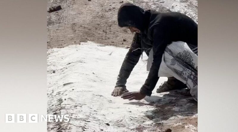 Watch: Man gathers spilled flour off ground as Gaza food crisis grows