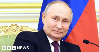 What does Vladimir Putin gain from his Tucker Carlson interview?