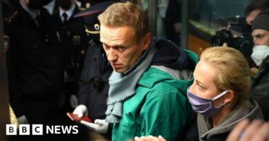 What we know about reports of Alexei Navalny's death in Arctic Circle prison