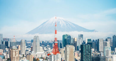 Will Japan's bull run continue? Here's what the pros say — and how to invest