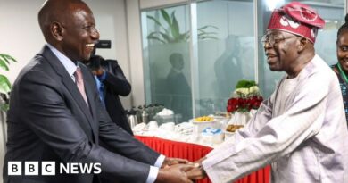 William Ruto and Bola Tinubu: Africa's 'flying presidents' under fire